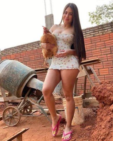 Imagen adjunta